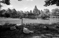170807_Cambodia_011